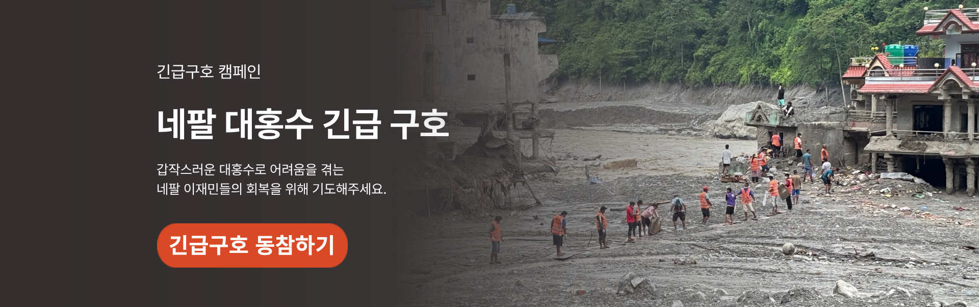 긴급구호 캠페인