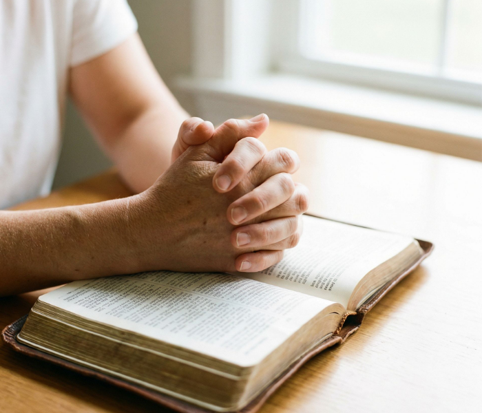 7d98a59d055981a90eaa5f13cc6d8949_1772530605_2864.png 7d98a59d055981a90eaa5f13cc6d8949_1772530605_2864.png